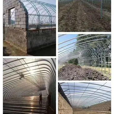 养猪大棚建设厂家养殖大棚钢结构养殖大棚