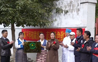 QQ截图20231020172227.png