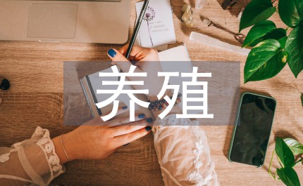 养猪的养殖技术