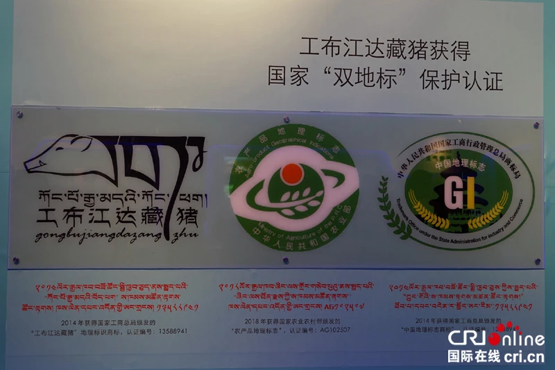 图片默认标题_fororder_图3，工布江达藏猪2018 年获得国家农业农村部颁发的“农产品地理标志商标”。摄影：刘娜 拷贝