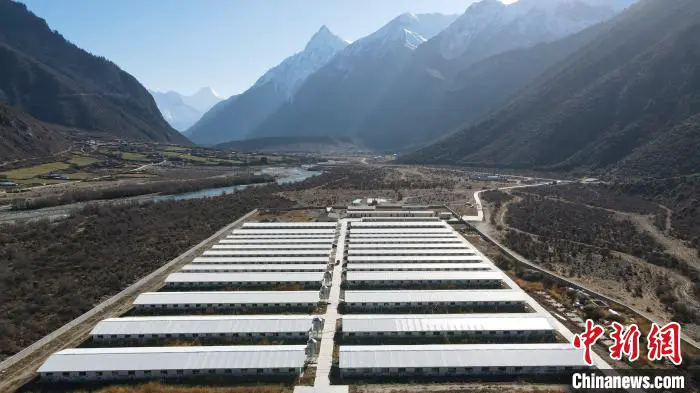 图为西藏林芝市波密县的标准化、产业化藏猪养殖基地。 江飞波 摄 图为西藏林芝市波密县的标准化、产业化藏猪养殖基地。 江飞波 摄
