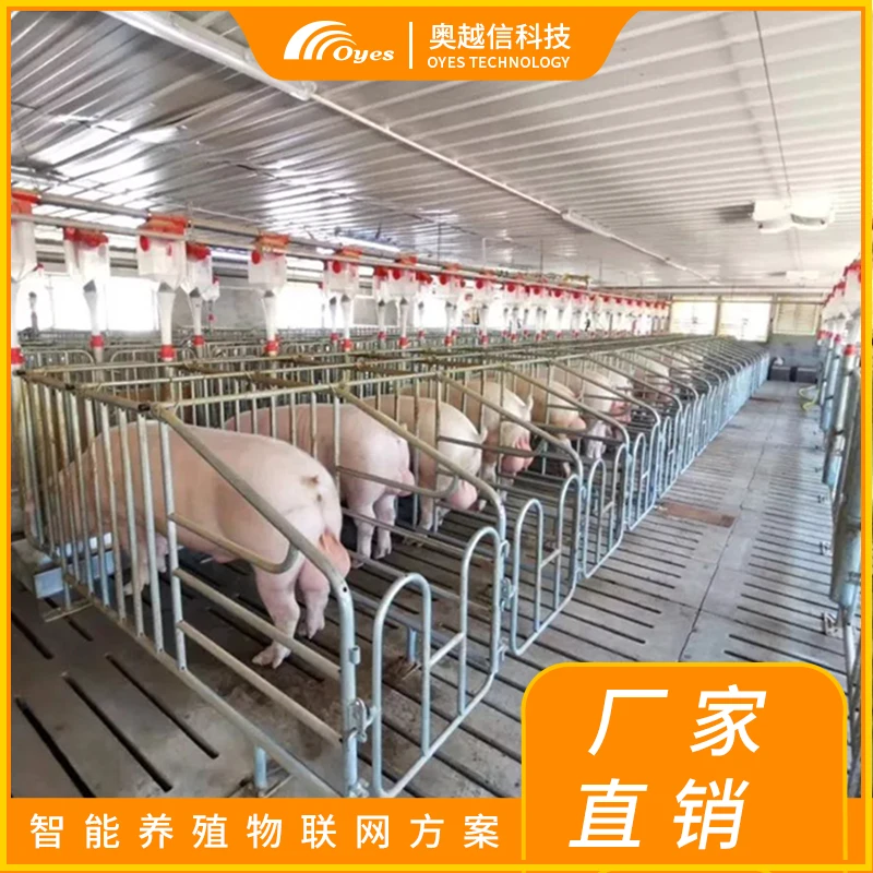 智慧养猪厂 惠州养猪养植批发