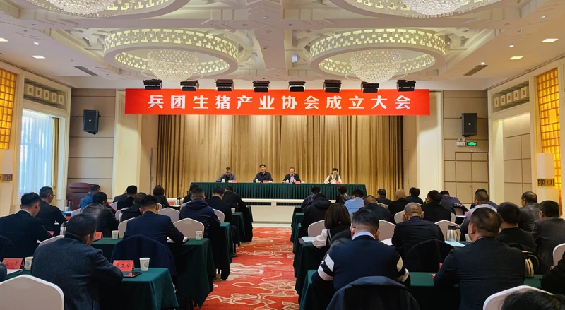 11月28日，兵团生猪产业协会成立大会在乌鲁木齐举行。李萍 摄