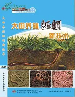 cctv7致富经蚯蚓养殖视频，cctv7蚯蚓养殖技术方法