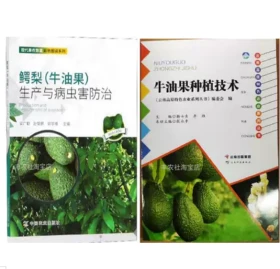 牛油果种植技术视频U盘 2书鳄梨(牛油果)生产与病虫害防治
