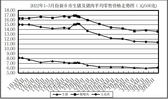 图片33.png