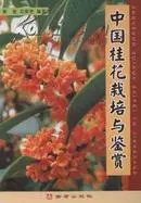 中国桂花栽培与鉴赏|桂花扦插育苗技术-CCTV7农广天地