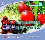 番茄的无土栽培技术|番茄病虫害识别与防治