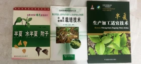 旱半夏种植技术视频U盘（旱半夏田间管理）书半夏 水半夏 附子