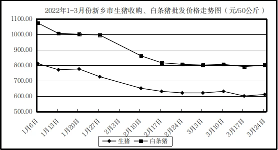 图片32.png