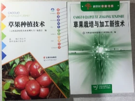 草果种植技术 2书（中药材草果仁 草果子栽培方法）