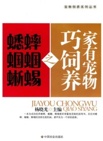 麻蜥蜴的养殖技术视频U盘（罗永林的麻蜥蜴致富经） 书家有宠物巧饲养之蟋蟀 蝈蝈 蜥蜴