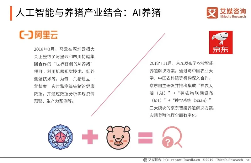 人工智能与养猪产业结合:AI养猪