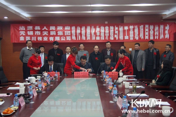 签约现场。长城网通讯员 祝汉国 摄