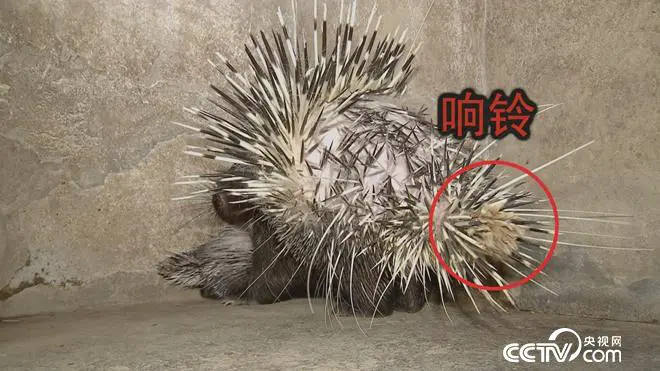 致富经