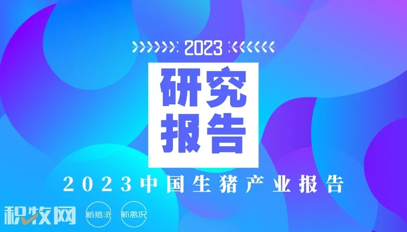 【研究报告】山东省养殖概况与主要产区分布