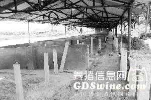 合法养殖场遭清理禽畜贱卖场主心痛(组图)