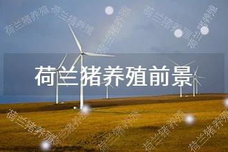 2024年荷兰猪养殖发展前景 趋势预测