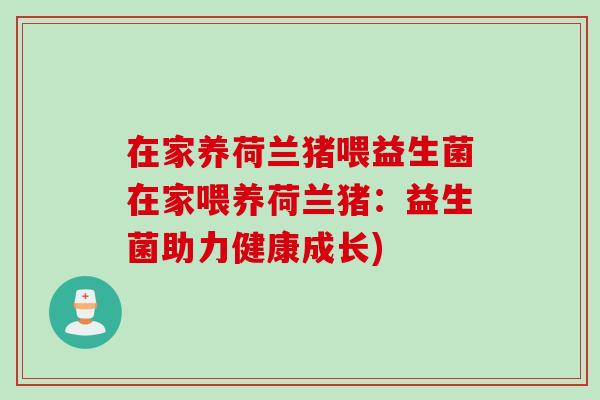 在家养荷兰猪喂益生菌在家喂养荷兰猪：益生菌助力健康成长)