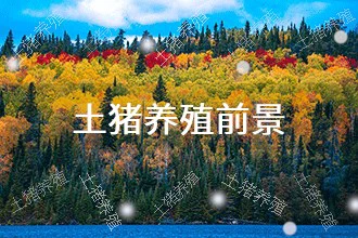 2024年土猪养殖发展前景 趋势预测