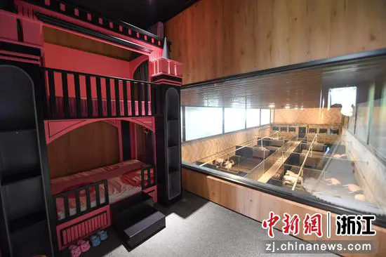 该养殖场在猪舍外开出主题房屋。 王刚供图