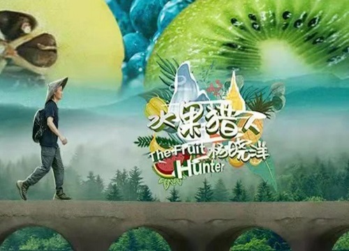 水果猎人重新出发 看看杨晓洋猎奇各种水果的精彩人生