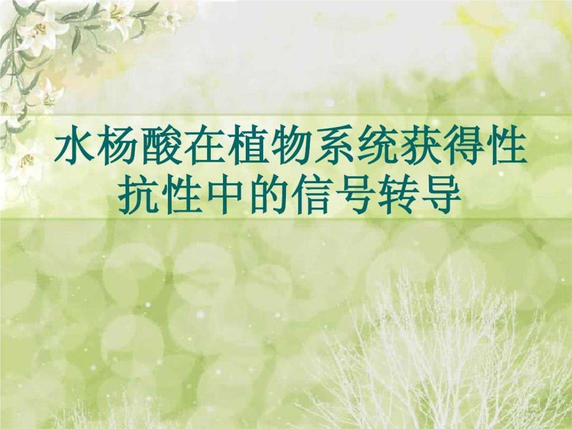 水杨酸对植物的作用