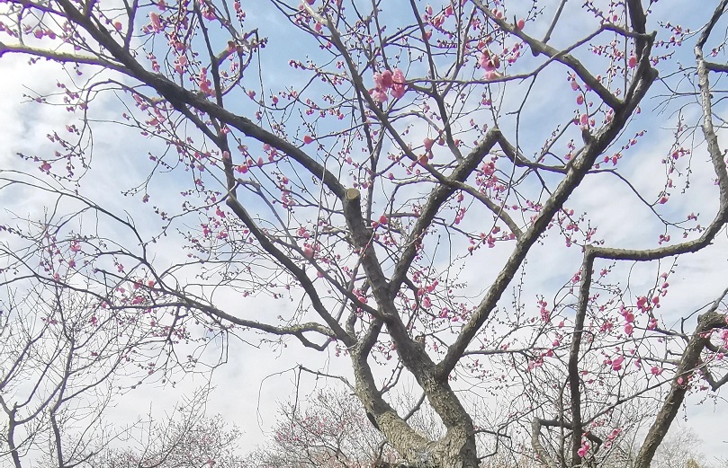 别角晚水