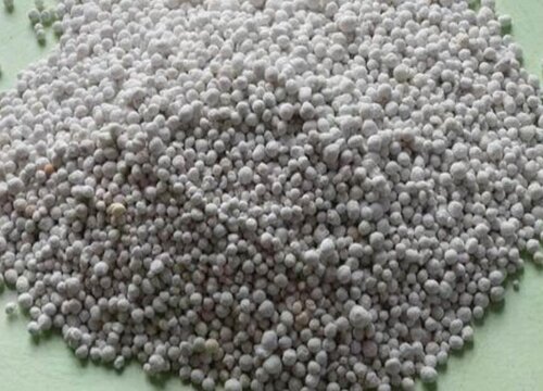 秋天大量使用磷钾肥养君子兰的危害