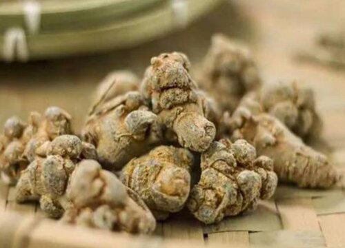 生三七和熟三七的区别