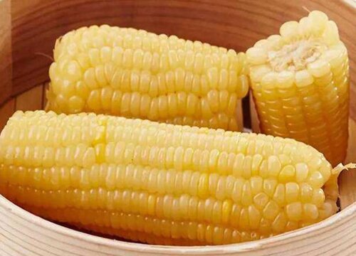 糯玉米种子哪个品种好 高产糯玉米品种介绍