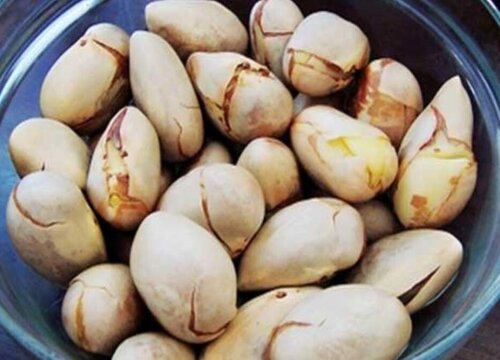 菠萝蜜籽能吃吗 菠萝蜜的核可以直接吃吗