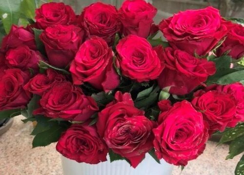 怎么让玫瑰花束保持得更持久（玫瑰怎么保持鲜艳）