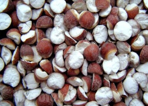 芡实的功效与作用及食用方法