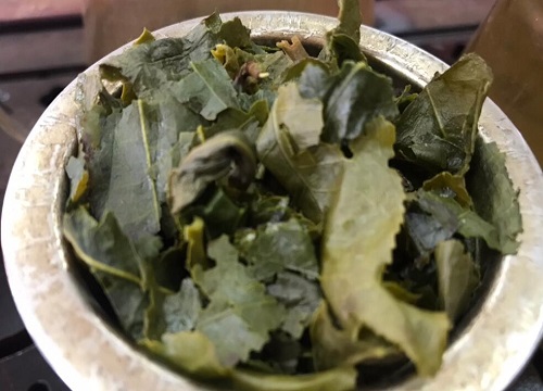 用什么养护月季花能令其生长旺盛