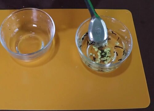 桂花树2(5)