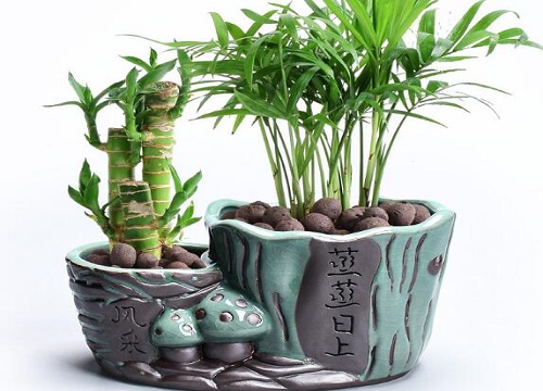 好看干净的连体花盆养花缺点