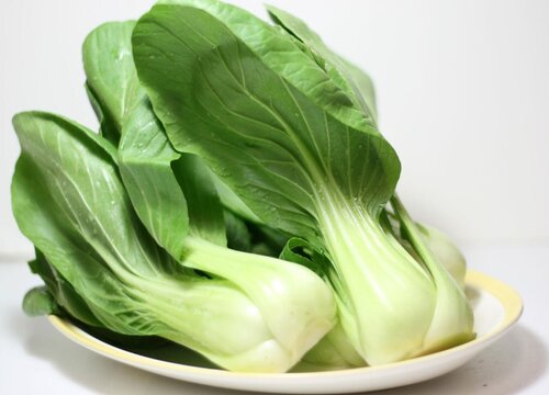 小白菜和大白菜的区别