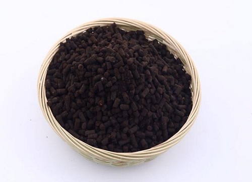 用什么植料养护君子兰叶绿花又多