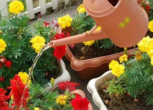 给花卉喷水存在的误区