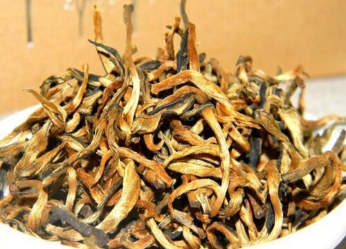 滇红茶19