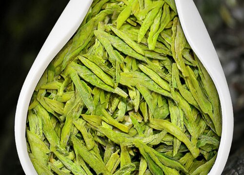 西湖龙井属于什么茶类 西湖龙井茶的特点与冲泡方法