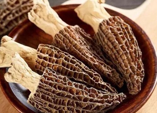 羊肚菌7