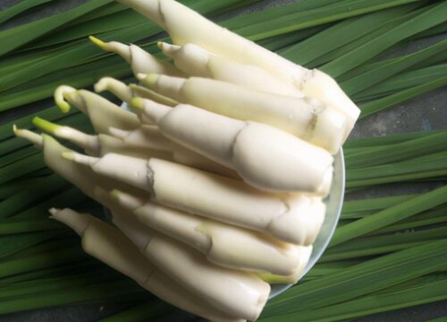 高笋和茭白有什么区别 高笋和茭白是同一种东西吗