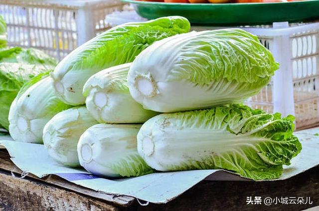 如何选择大白菜品种（种植白菜什么品种产量高口感好）