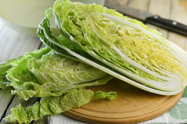 种植大白菜用什么肥料最好（白菜种植方法和注意事项）
