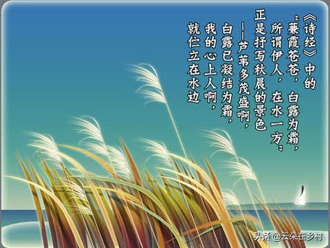 白露下雨后雨水多会影响农作物吗（白露这天下雨说法 ）