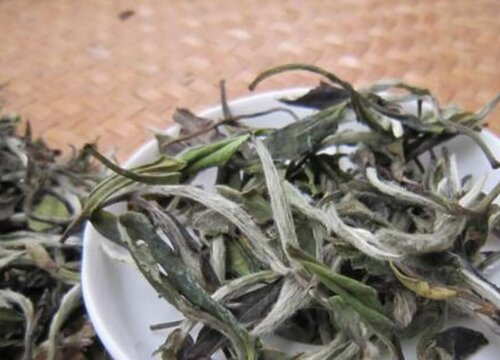 福鼎白茶的功效与作用