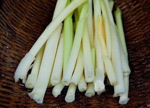 蒲菜是什么菜