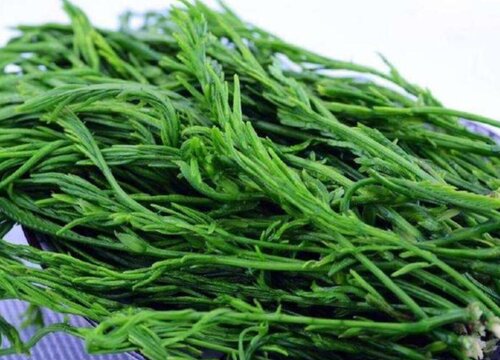 臭菜是什么菜